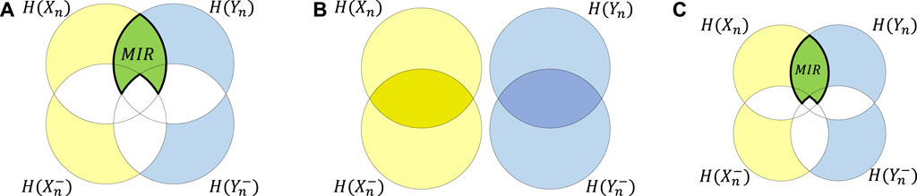 Testing dynamic correlations and nonlinearity in bivariate time series through information measures and surrogate data analysis